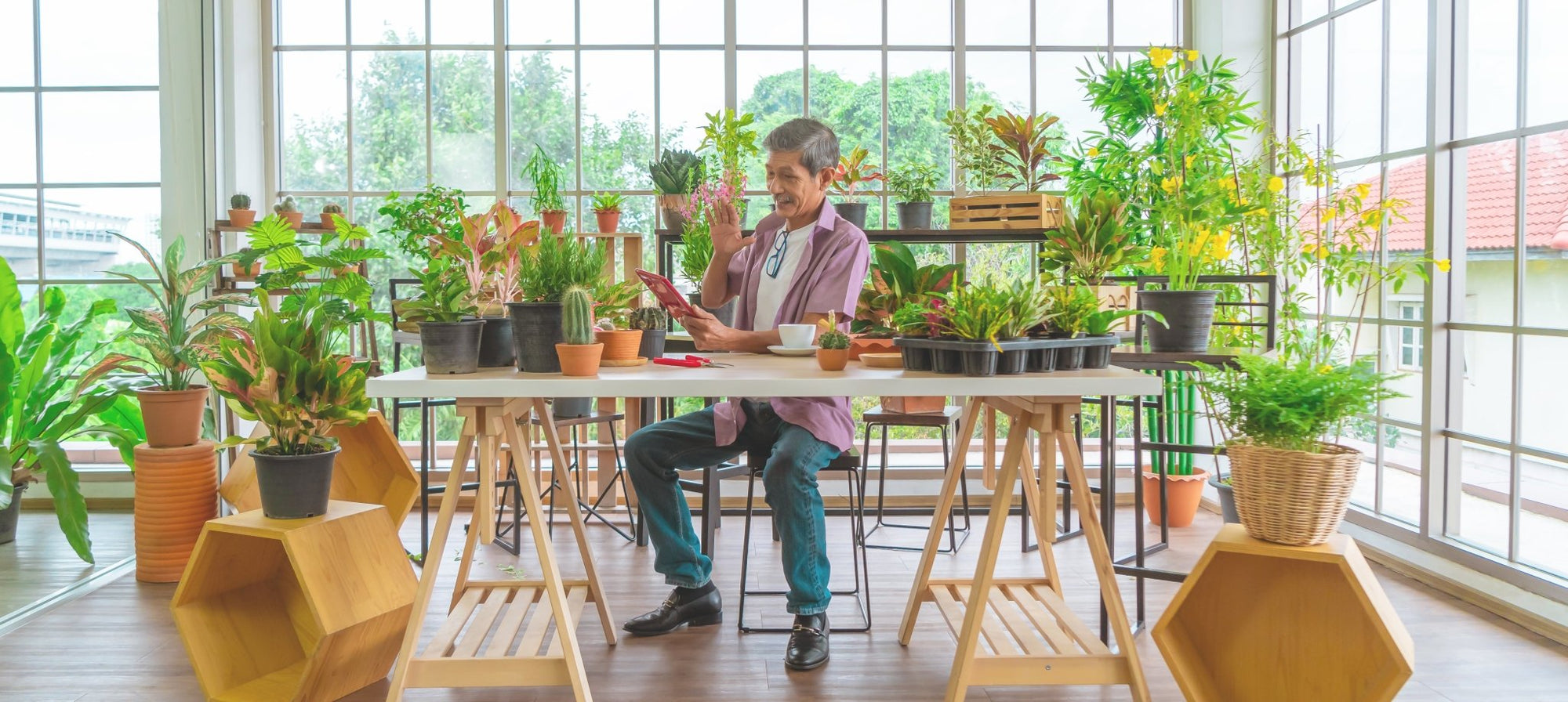 5 Health Benefits I've Learned from Caring for Houseplants - Planty Love Co