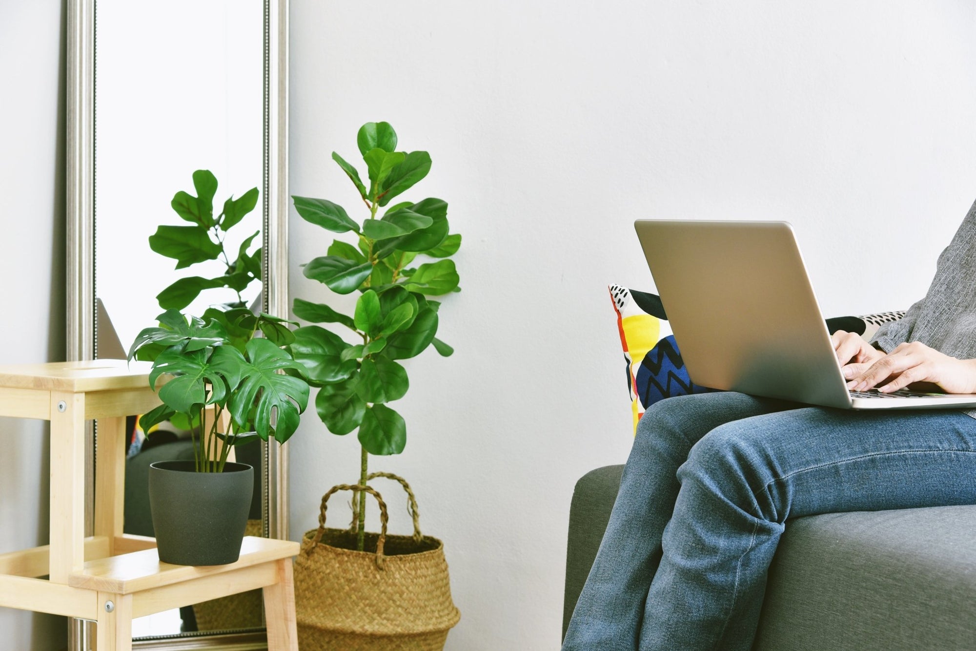 Introducing the Fiddle Leaf Fig: The Lush, Low-Maintenance Plant Your Home Needs - Planty Love Co