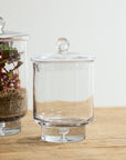 Asteridge clear lidded glass terrarium, 6.75 by 10 inch, view 2