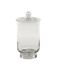Asteridge tall clear lidded glass terrarium, 6.75 by 12 inch
