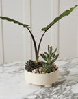Hailey off-white ribbed footed ceramic bowl planter, 9.5 inch, view 2