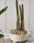 Large Hailey off-white ribbed footed ceramic bowl planter, 12 inch, view 3