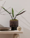 Kasra brown handmade brutalist ceramic planter, 9.75 inch, view 4