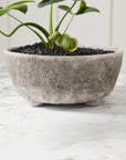 Shoal grey stone-texture ceramic bowl planter, 10 inch, view 3