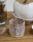 Avenell Reactive Glaze Planter with Saucer, 5.5 inch - Planty Love Co