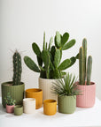 Beam Fluted Planter, Sage Green, 7 inch - Planty Love Co