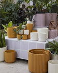 Beam Fluted Planter, Sage Green, 7 inch - Planty Love Co