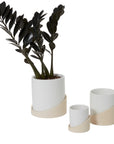 Brisbane planter with a ZZ plant