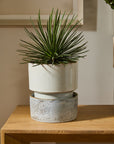 Endeavor Reactive Glaze Ceramic Planter with Saucer, 8.5 inch - Planty Love Co