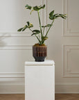 Kasra Handmade Brutalist Ceramic Planter, 9.75 inch - Planty Love Co