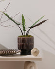 Kasra Handmade Brutalist Ceramic Planter, 9.75 inch - Planty Love Co