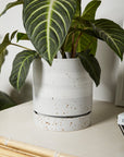 La Jolla Speckled Ceramic Planter with Saucer, 6.5 inch - Planty Love Co