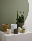 Los Feliz Ribbed Planter with Saucer, Cream, 5 inch - Planty Love Co