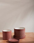 Salamanca Dotted Terracotta Planter with Saucer, 5.5 inch - Planty Love Co