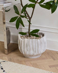 Scavo oversized grey sculptural ceramic tree planter, 18.75 inch, view 2