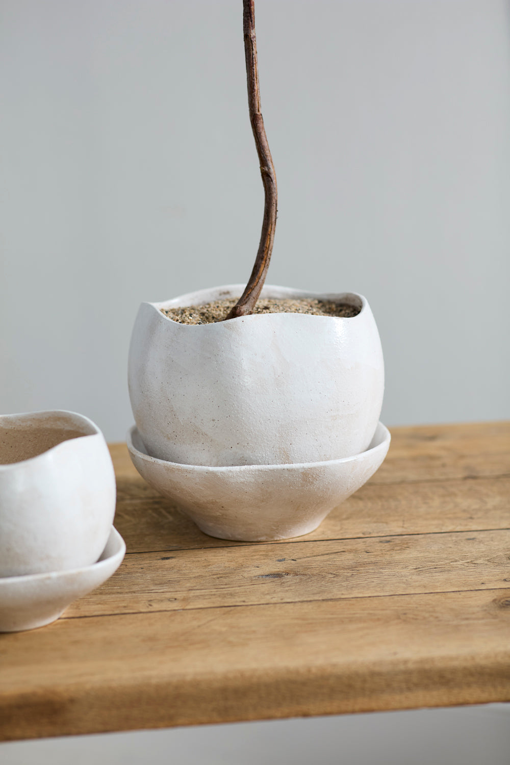 Iona off-white ceramic planter with deep saucer, 10.25 inch, view 2