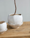 Iona off-white ceramic planter with deep saucer, 10.25 inch, view 2