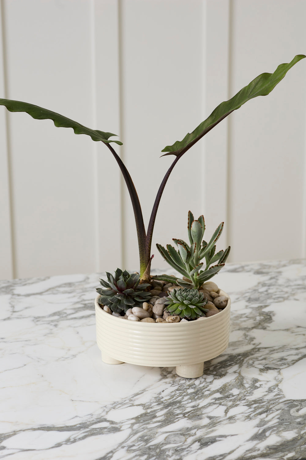Hailey off-white ribbed footed ceramic bowl planter, 9.5 inch, view 2