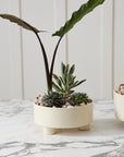 Hailey off-white ribbed footed ceramic bowl planter, 9.5 inch, view 3