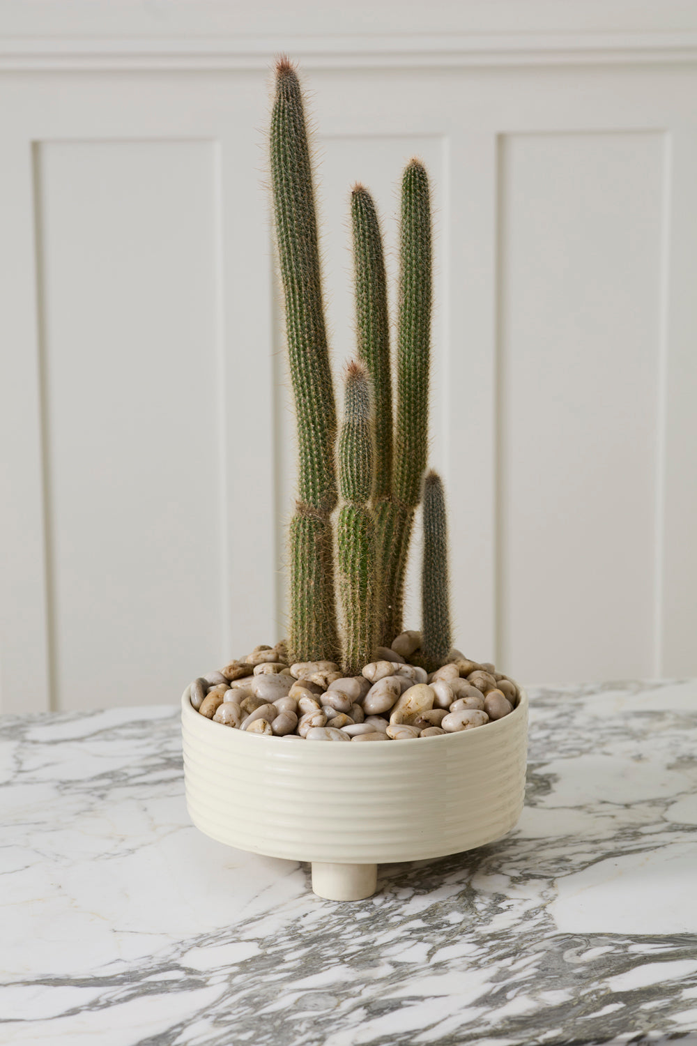 Large Hailey off-white ribbed footed ceramic bowl planter, 12 inch, view 2