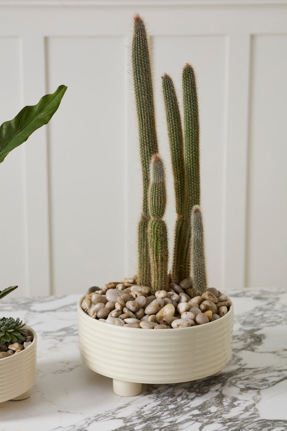 Large Hailey off-white ribbed footed ceramic bowl planter, 12 inch, view 3