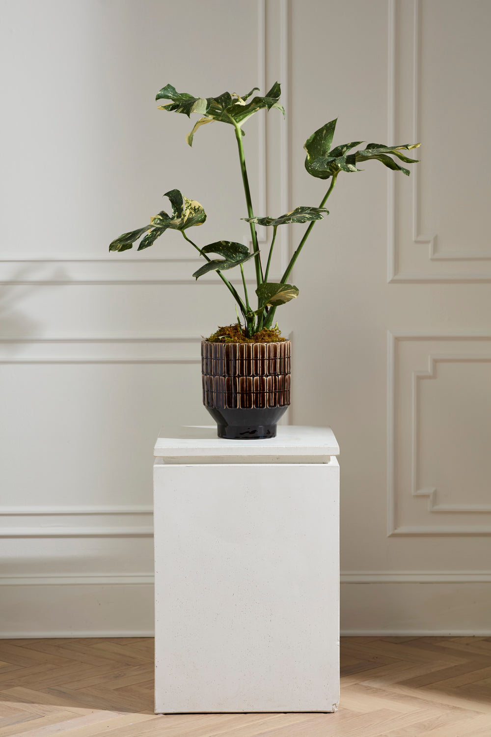 Kasra brown handmade brutalist ceramic planter, 9.75 inch, view 2
