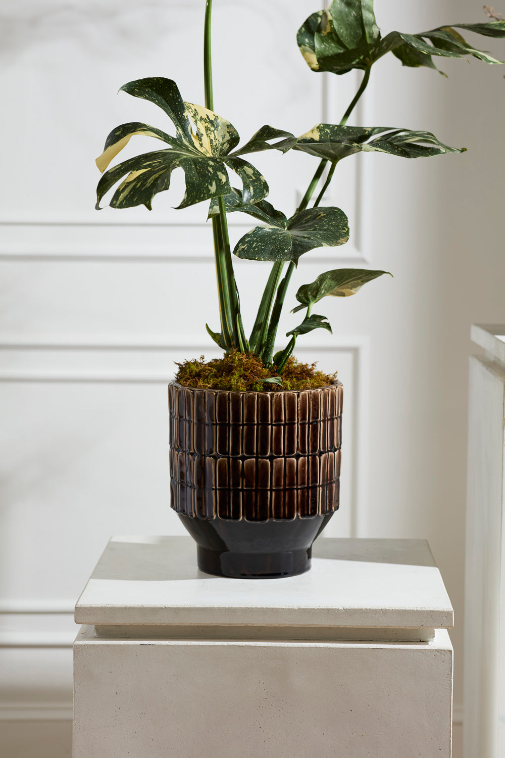 Kasra brown handmade brutalist ceramic planter, 9.75 inch, view 3