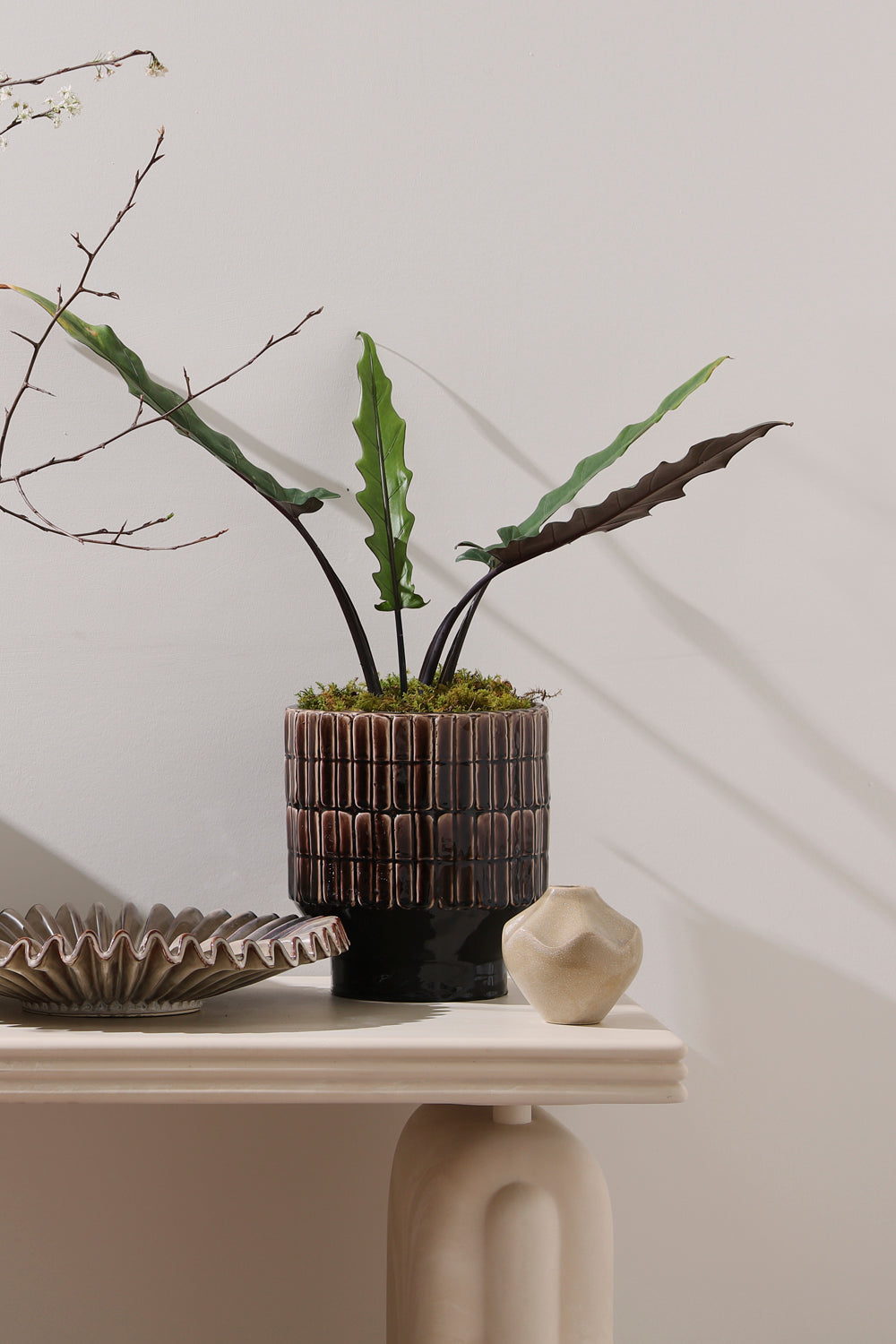 Kasra brown handmade brutalist ceramic planter, 9.75 inch, view 4
