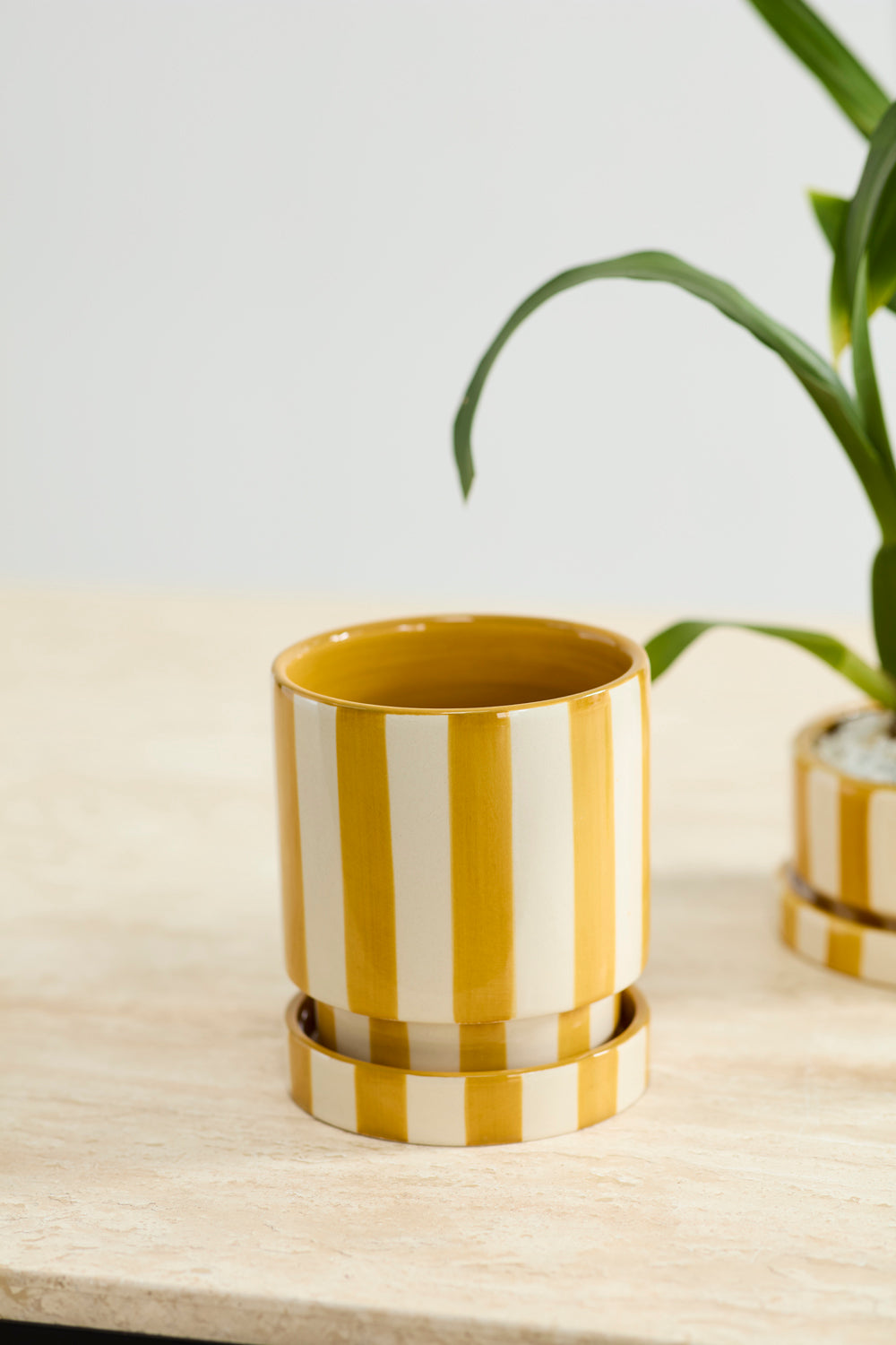 Saffron yellow and white striped ceramic planter with saucer, 5 inch, view 2