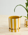 Saffron yellow and white striped ceramic planter with saucer, 5 inch, view 2