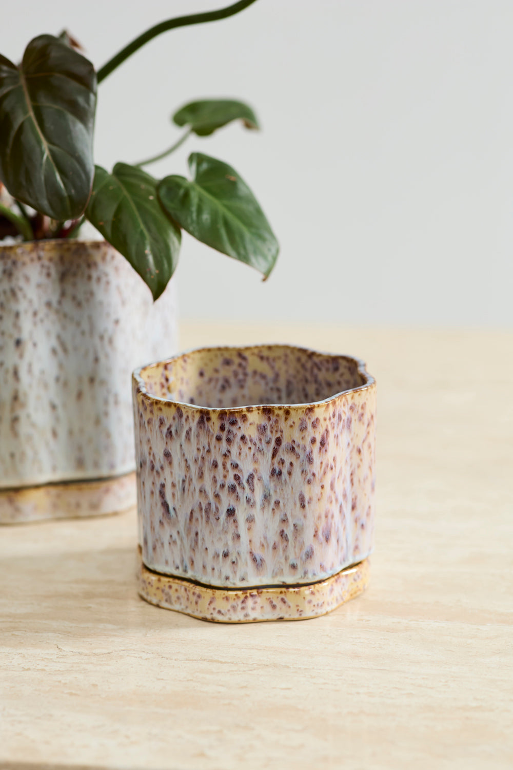 Avenell cream and grey reactive glaze planter with saucer, 5.5 inch, view 3