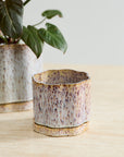 Avenell cream and grey reactive glaze planter with saucer, 5.5 inch, view 3