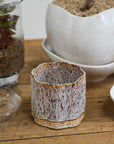 Avenell cream and grey reactive glaze planter with saucer, 5.5 inch, view 2