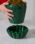 Lorelai glossy green ceramic planter with wavy saucer, 8 inch, view 3