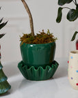 Lorelai glossy green ceramic planter with wavy saucer, 8 inch, view 2