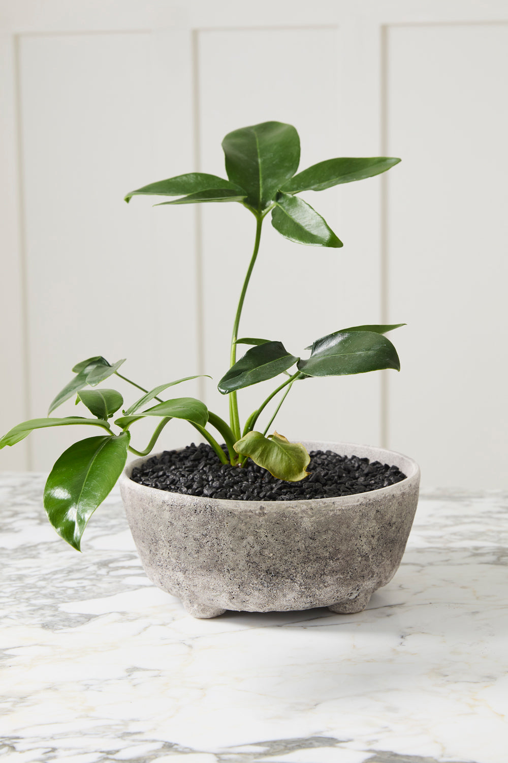 Shoal grey stone-texture ceramic bowl planter, 10 inch, view 2