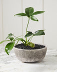 Shoal grey stone-texture ceramic bowl planter, 10 inch, view 2