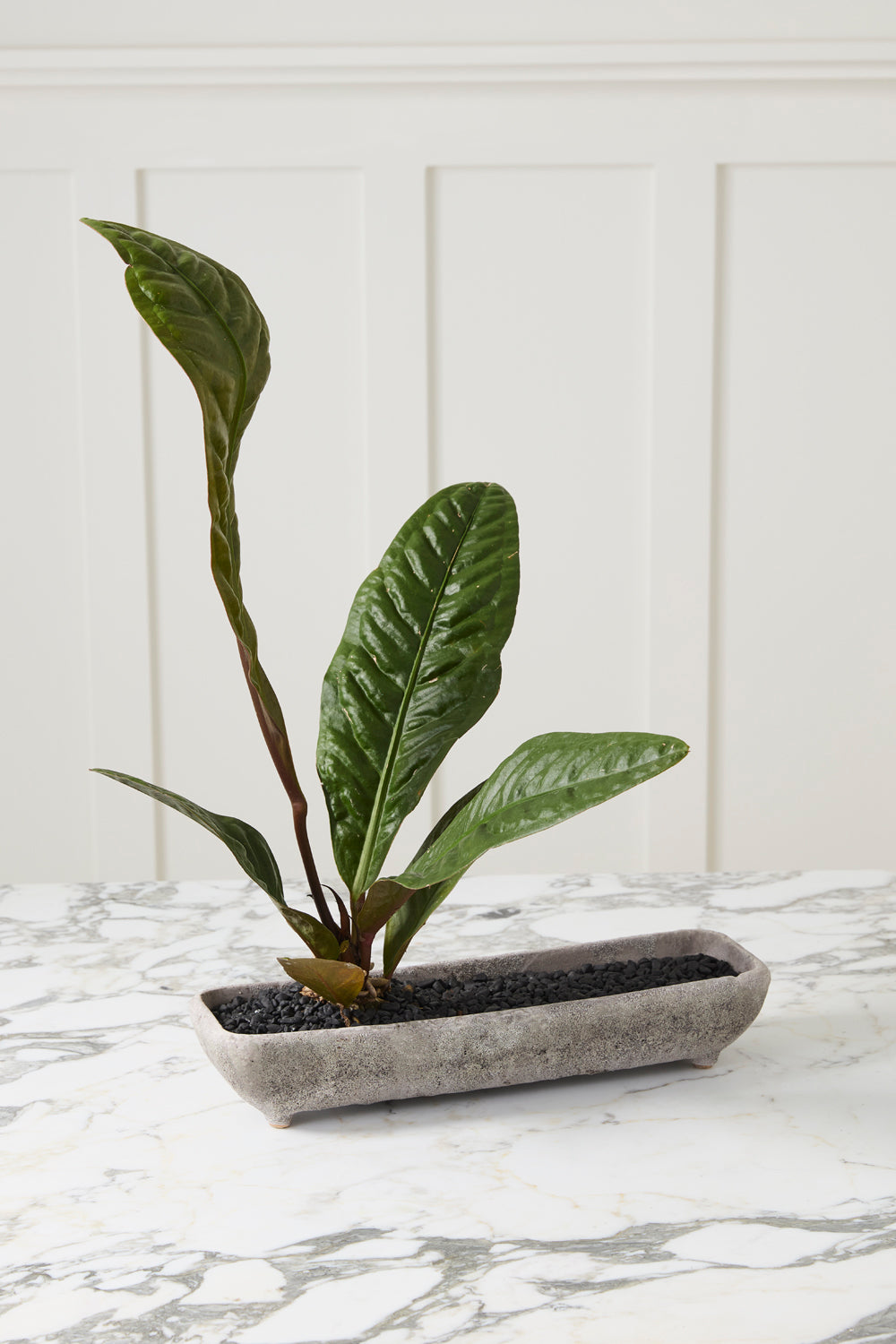 Shoal grey stone-texture ceramic trough planter, 16 inch, view 2