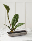 Shoal grey stone-texture ceramic trough planter, 16 inch, view 2