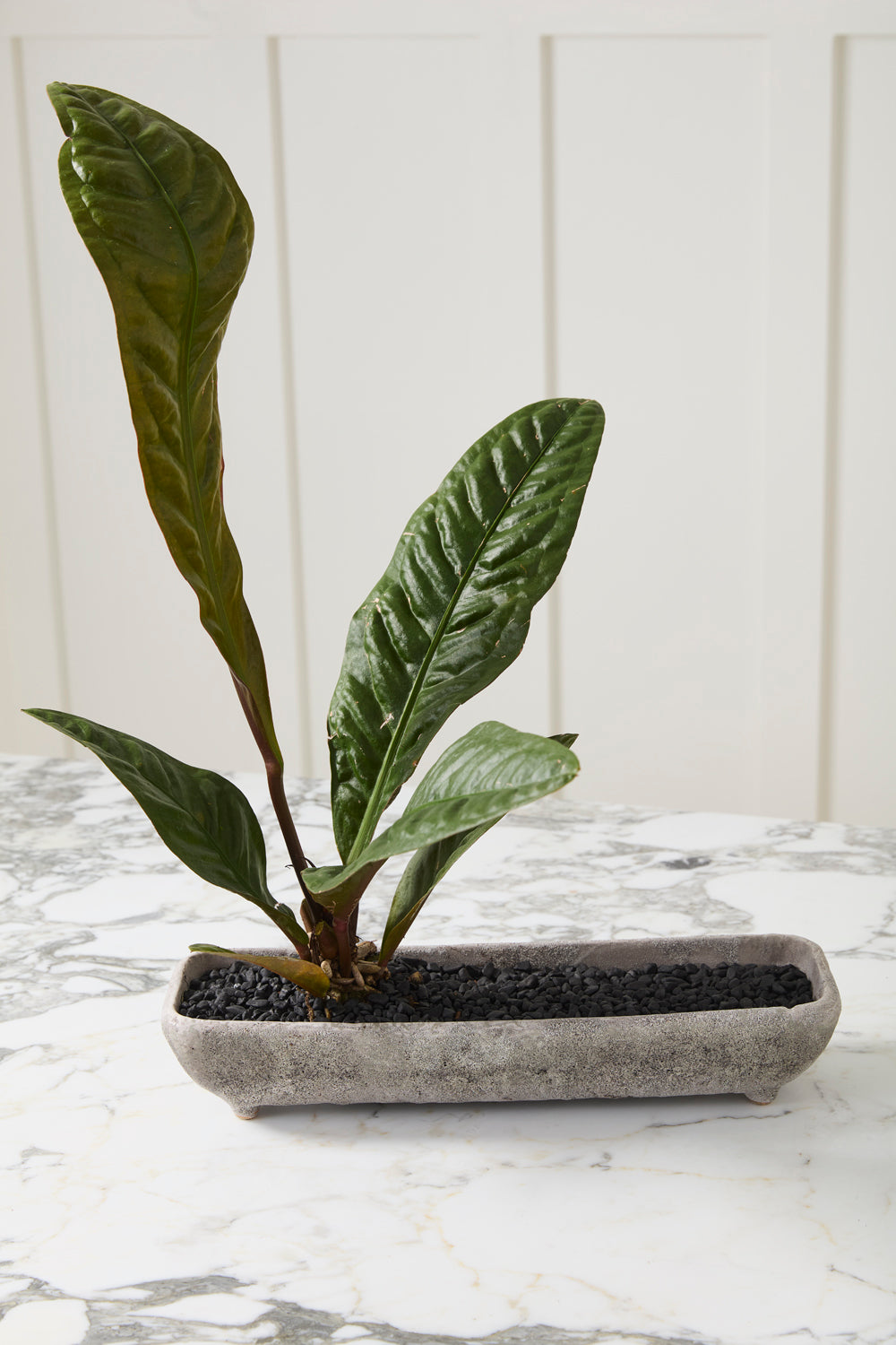 Shoal grey stone-texture ceramic trough planter, 16 inch, view 3
