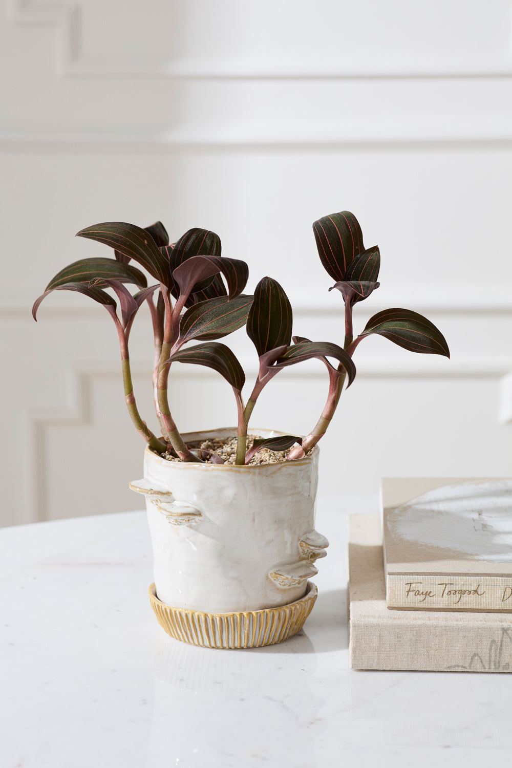Stepped Mushroom off-white ceramic planter with ridged saucer, 6 inch, view 2