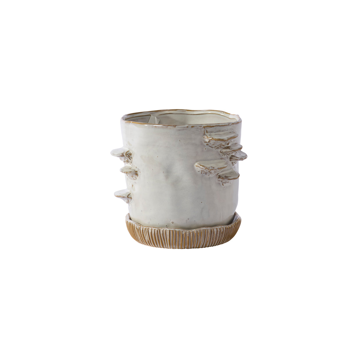 Large Stepped Mushroom off-white ceramic planter with saucer, 7.75 inch