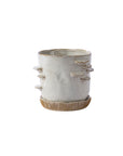 Large Stepped Mushroom off-white ceramic planter with saucer, 7.75 inch