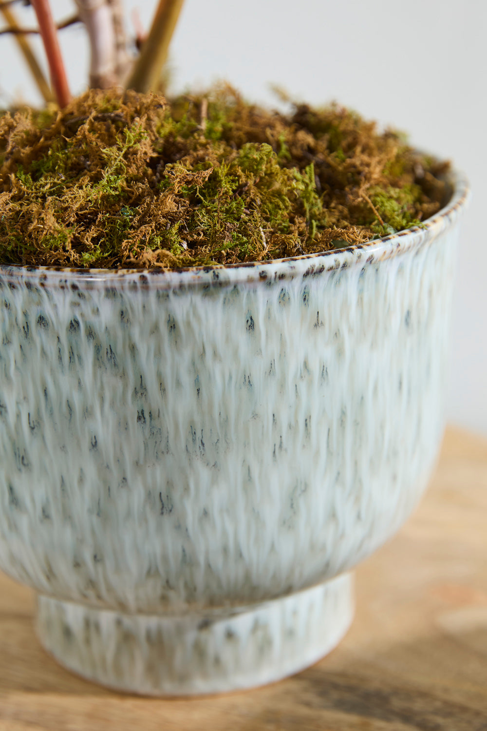 Hayden multicolor patterned reactive glaze ceramic planter, 8.25 inch, view 3