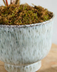 Hayden multicolor patterned reactive glaze ceramic planter, 8.25 inch, view 3
