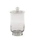 Asteridge Tall Lidded Glass Terrarium, 6.75 x 12 inch - Planty Love Co