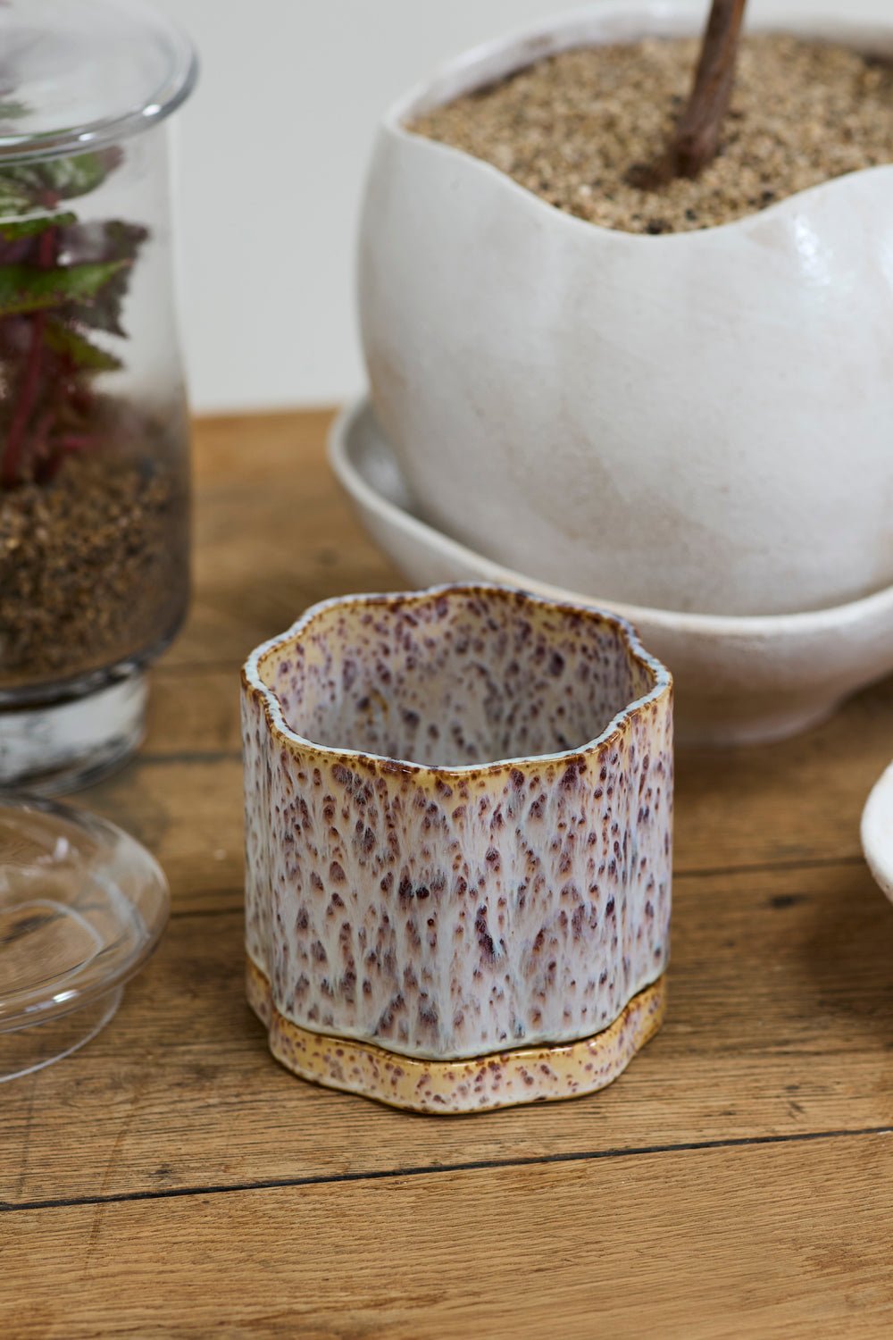 Avenell Reactive Glaze Planter with Saucer, 5.5 inch - Planty Love Co