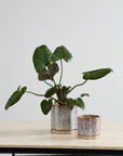 Avenell planter styled in a room