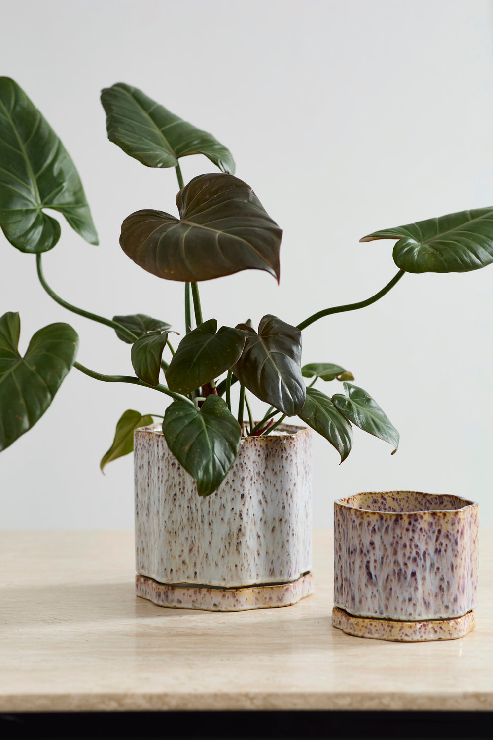 Avenell planter shown in available colors