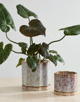 Avenell planter shown in available colors